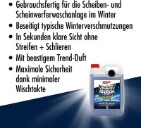 Sonax WinterBeast AntiFrost+KlarSicht Scheibenreiniger...