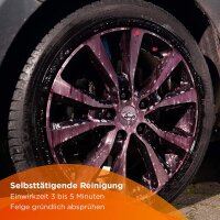 Tuga Chemie Alu-Teufel Spezial Felgenreinigungsset - Premium