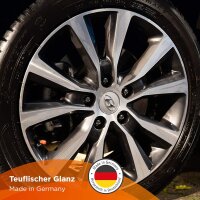 Tuga Chemie Alu-Teufel Spezial Felgenreinigungsset - Premium