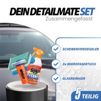 Soft99 Glaco Set - Glasreiniger + Glaco DX 110ml Scheibenversieglung + Zubehör