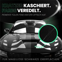 Menzerna Black Gloss & Protect Autopolitur 250ml