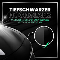 Menzerna Black Gloss & Protect Set